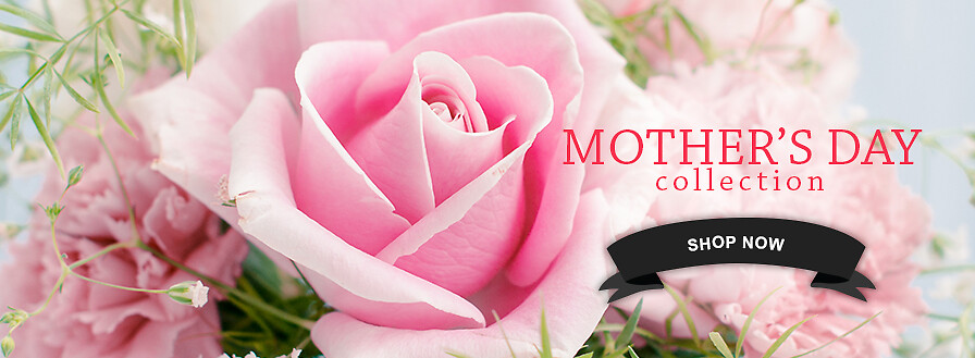 Mother's Day Banner